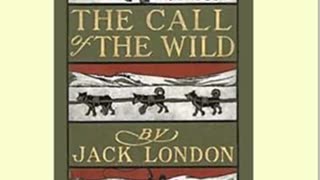 The Call of the Wild by Jack london (Full Audio Book!)