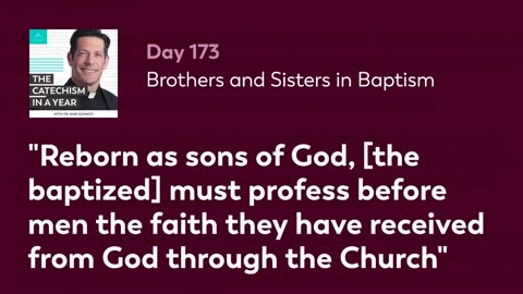 Day 173: Brothers and Sisters in Baptism — The Catechism in a Year (with Fr. Mike Schmitz)