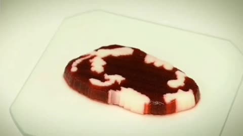 Would You Eat 3D Printed Meat?