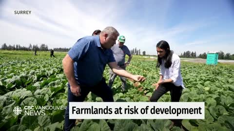 Fertile farmland delivering local produce to Canadians is at risk