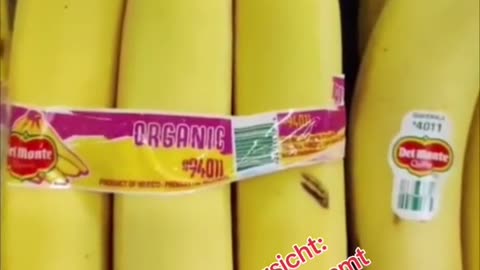Bananen 🍌 4011