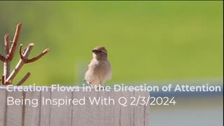 Creation Flows In The Direction Of Attention 2/3/2024