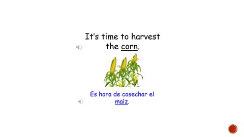 Palabra Del día en Inglés 'corn'