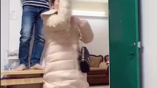 Funny videos