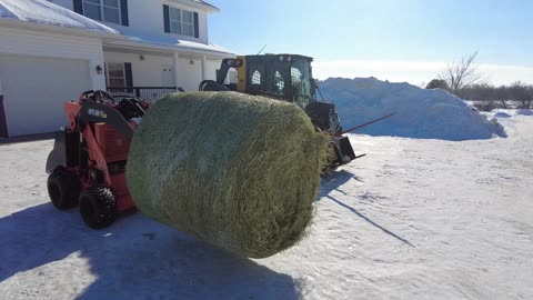 Can OUTLAW Mini Loader Lift Round Hay Bales or Tip Over?