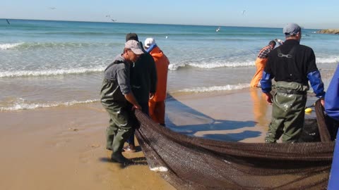 Costa Da Caparica Traditional fishing. Lisbon Portugal 2015