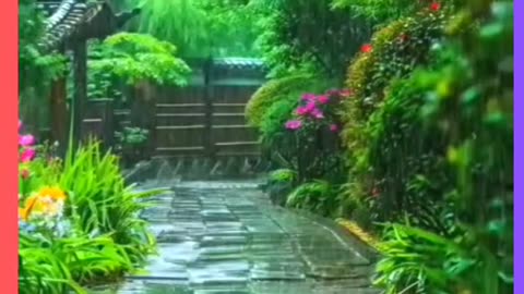 The Rain: Nature's Soothing Symphony#shorts#viral