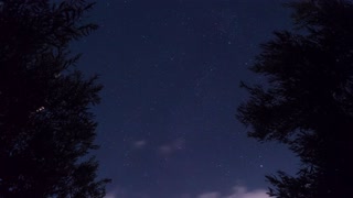 Escape to the Wonders of the Universe with Our Stunning Starry Sky Videos