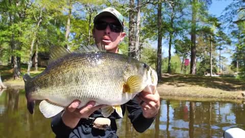 Giant bass caught in muddy waters