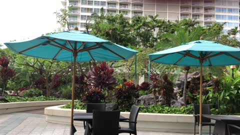 Hawaiian music in gorgeous lobby, Ilikai Hotel, Waikiki