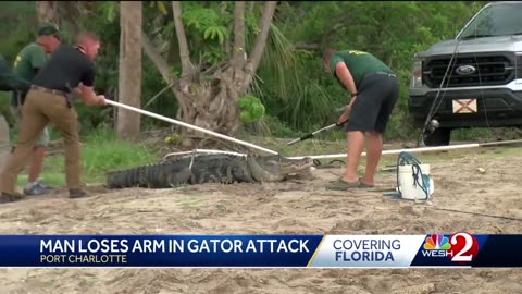 Florida man loses arm in gator attack behind bar-