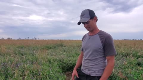 Bailing Alfalfa Hay with Farmer Voth in Bede Manitoba
