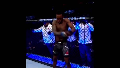 Epic ufc mma knock outs animation mode 2