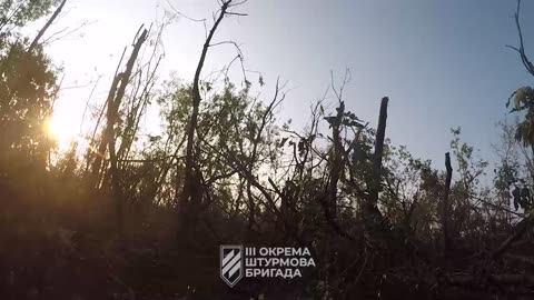 MYRON Stormtroopers advancing through a mined forest strip.