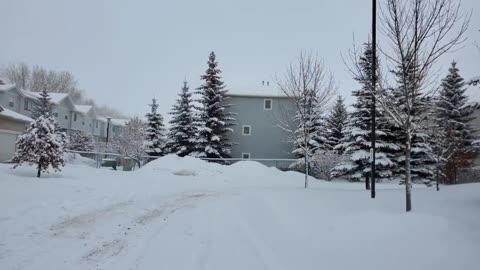 Snowfall in Calgary Alberta