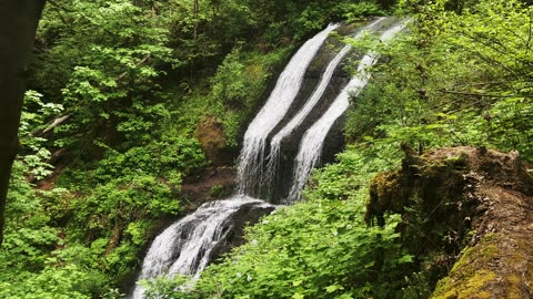 GLORIOUS & MAGNIFICENT Royal Terrace Falls! | McDowell Creek County Park | Oregon | 4K