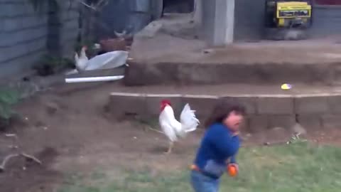 A struggle between a child and a rooster, watch the end hahaha