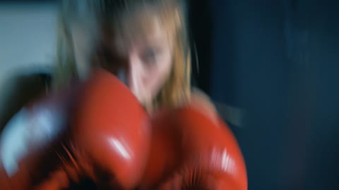 BOXER VIDEO