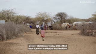 An urgent update from Somalia | Africa Food Crisis