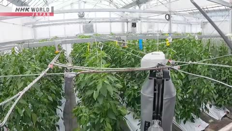 A NEW AGRICULTURE: Robot Farmer - Dig More Japan