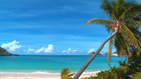 Tropical Summer Upbeat Background Music