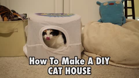 How to make a DIY cat home