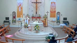 Fr Paddy McCafferty Corpus Christi Parish Belfast Easter Monday