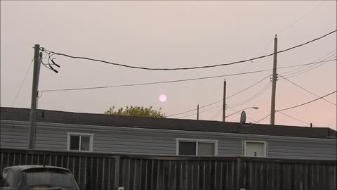 Awesome zoom-in of pink sun with sunspots