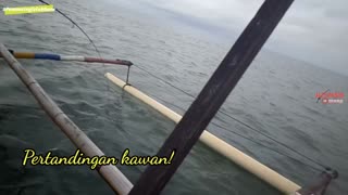 Ikan Jenaha Malah Makan Saat Hujan Begini