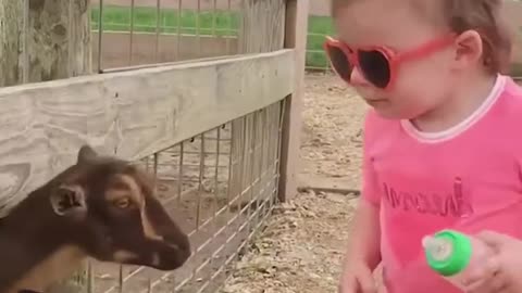 Funny Animal | Babies -- Animals Prank Babies - Cutest Babies Videos