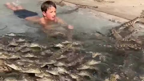 boy swimming with baby Nile crocs!! Here in South Africa 🇿🇦