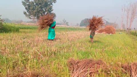 India village Life of the poorest People of india villageLife in up Farmer Life of Uttar pradesh