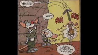 Newbie's Perspective Pinky and the Brain Issues 26-27 Reviews