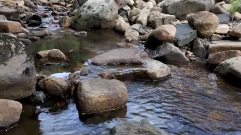 Running Stream Relaxing Flowing Water