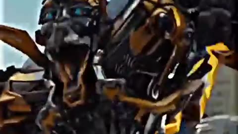 Bumblebee coldest moment