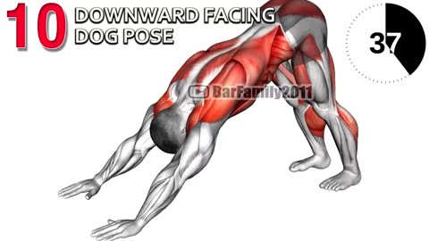 Do These Bodyweight Exercises At Home