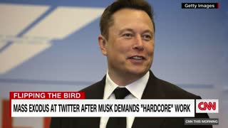 Twitter HQ trolled as Musk shuts down offices