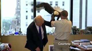 Trump vs. Eagle