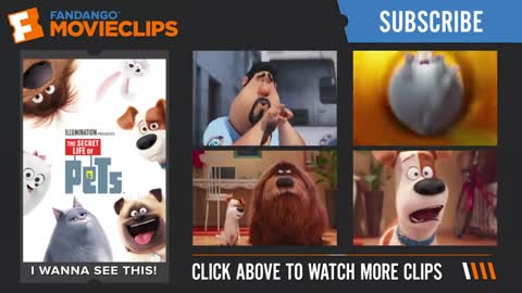 The Secret Life of Pets - Get the Keys! Scene (8_10) _ Movieclips