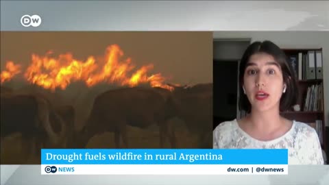 Firefighters in northern Argentina are struggling to contain massive wildfires | DW News