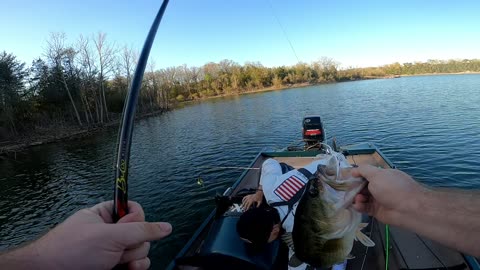 SPINNER BAIT FISHING TABLE ROCK LAKE