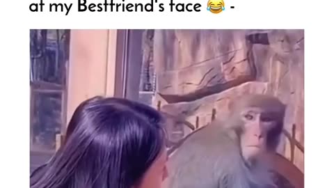 Money wah see may bestie 😂 / amezing animal reaction 🤣🐒 / funny memes/ monkey 🐒 //