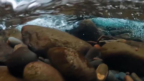 Fresh water and dancing bubbles