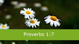 1 Minute -- Proverbs 1 Devotional -- March 1, 2023