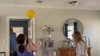 Kitty Plays Balloon Game With Family