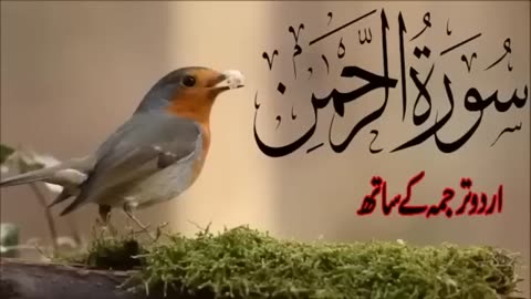 Surah Rahman (Urdu Tarjuma k Sath)