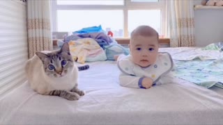 The kitten listened to the baby's heartbeat throughout pregnancy.