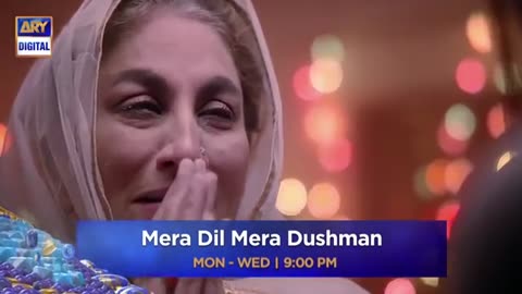 mera dil mera dushman