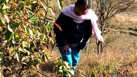 Village Life in Rural area in Nepal