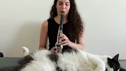 My cat & clarinet 😻